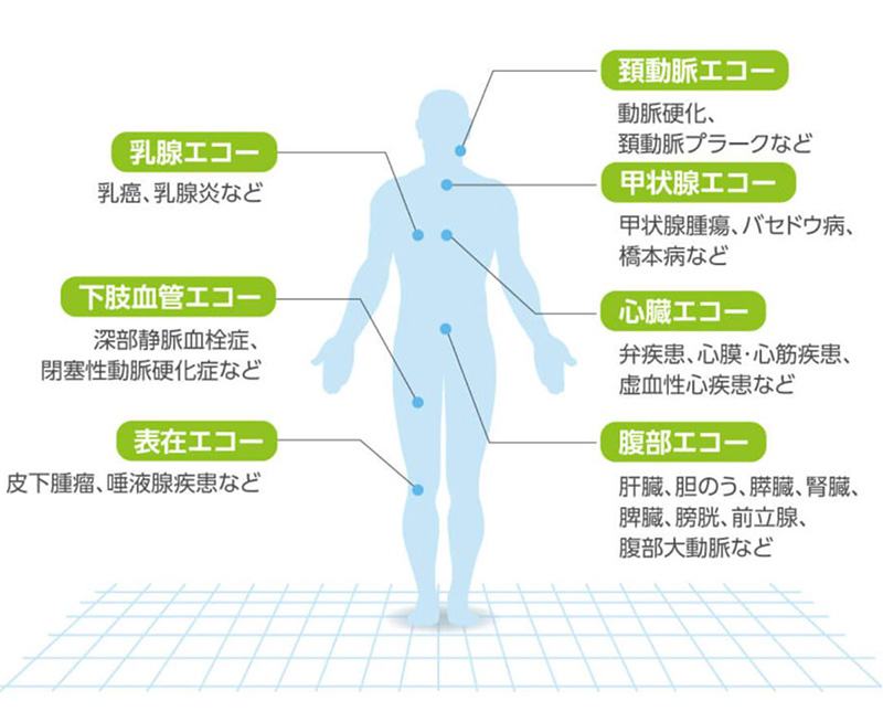 調べることが可能な部位